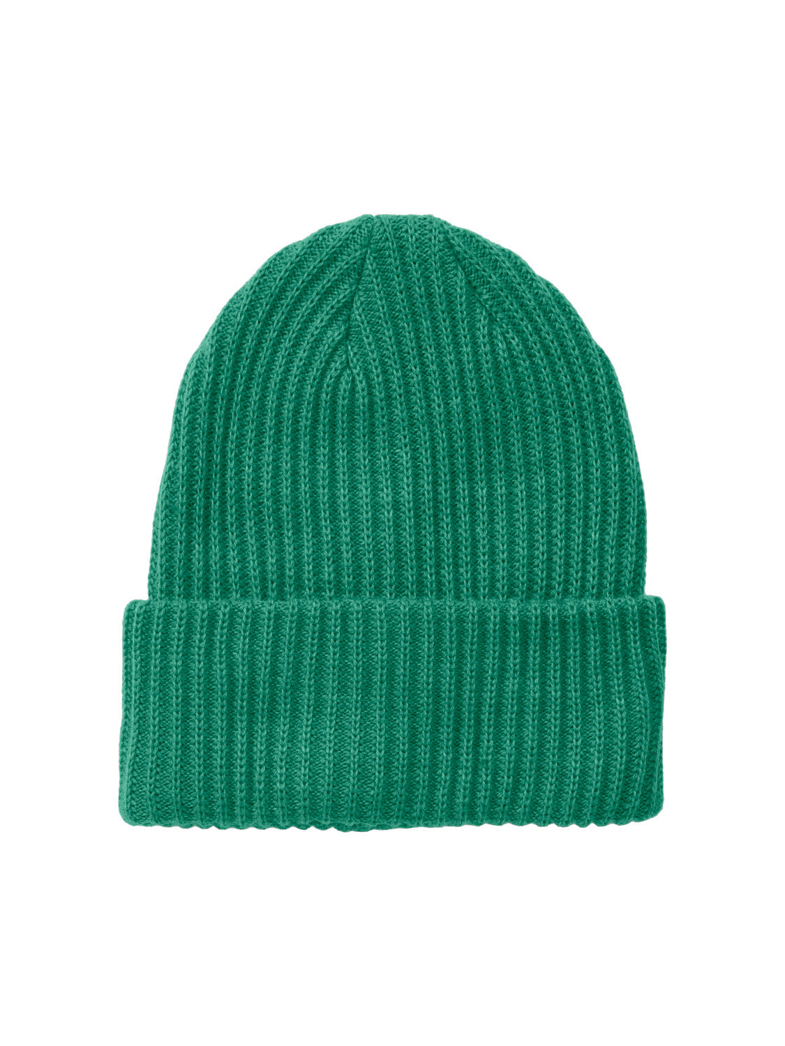 PCHEXO Winter Accessories - Parakeet